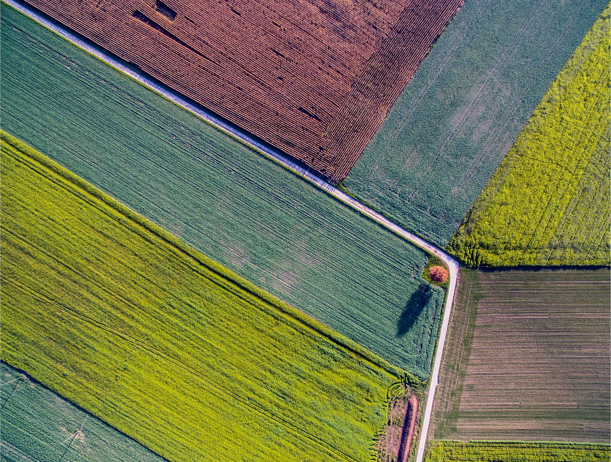 Aerial image of farm in US