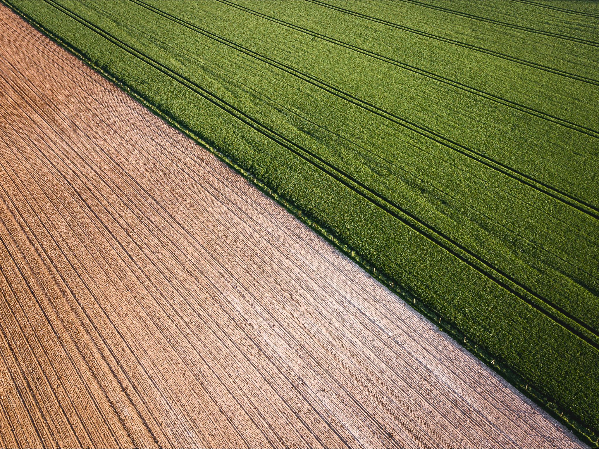 aerial photo of crop fields