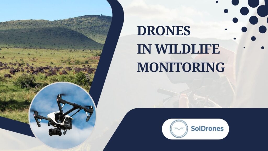 Drones In Wildlife Monitoring