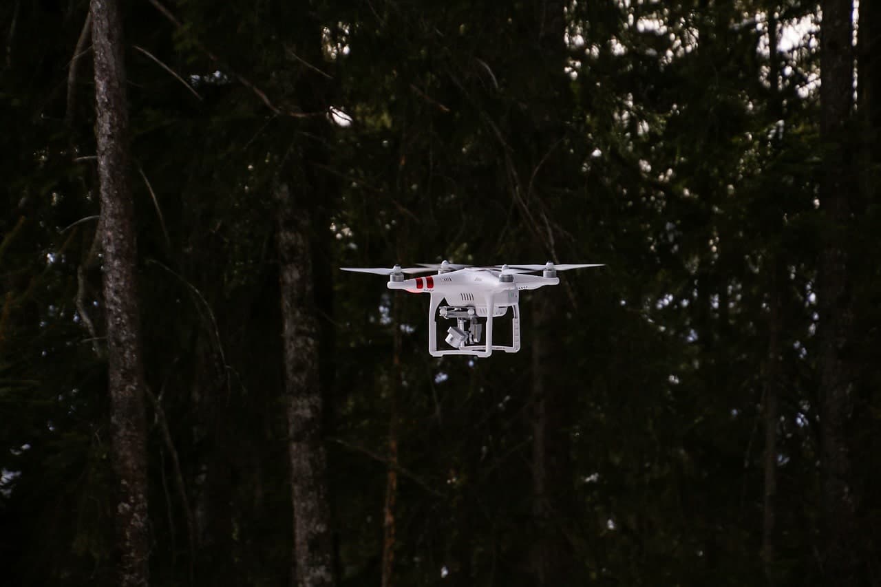 Drone flying near the trees