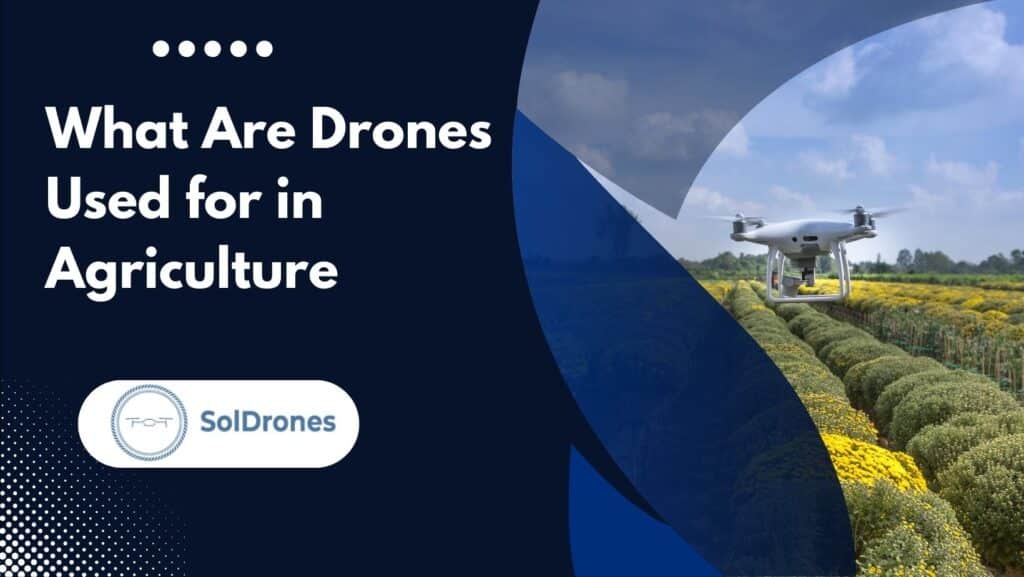 What Are Drones Used for in Agriculture