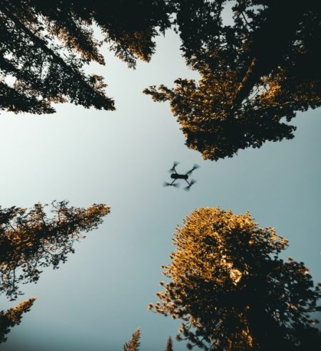 drone flying above a forest